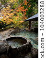 Hot springs, open-air baths, autumn leaves in nature 104003288