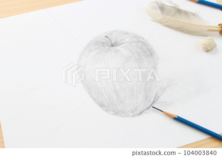 Pencil drawing, still life, drawing an apple (hand-drawn, close-up, copy space) Pencil drawing, still life, drawing an apple (hand-drawn, close-up, copy space) 104003840