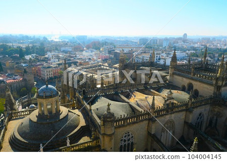 Seville Cathedral and the city of Seville seen from the Giralda Tower 104004145