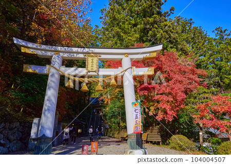 秋季埼玉縣長瀞市寶登山神社第二鳥居和秋葉 104004507