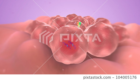 The HER2 Positive Breast Cancer 104005176