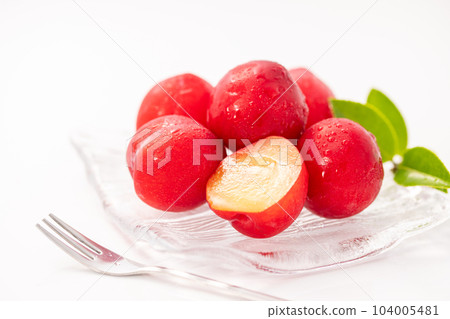 梅花（李子）白色背景 104005481