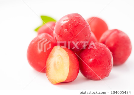 plum (plum) white background 104005484