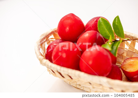 plum (plum) white background 104005485