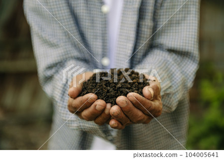 Hands of the gardeners are grabbing the soil to plant Hands of the gardeners are grabbing the soil to plant 104005641