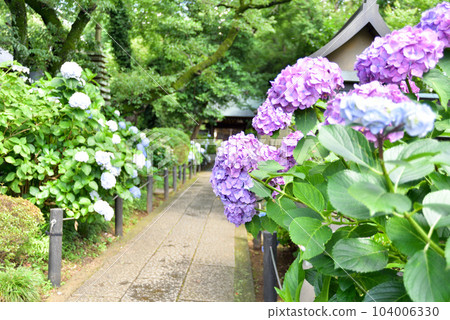 繡球妙樂寺 104006330