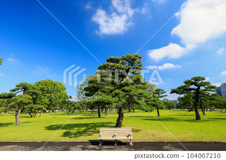 (Tokyo) Scenery in front of the Imperial Palace, early summer 104007210