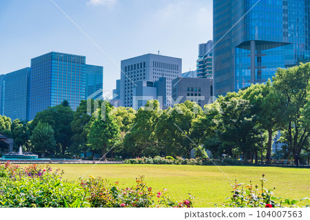 （東京）初夏的日比谷公園 104007563