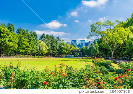 （東京）初夏的日比谷公園 104007568
