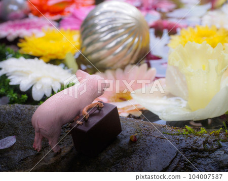 The pig who came to see the flower chozubachi 104007587