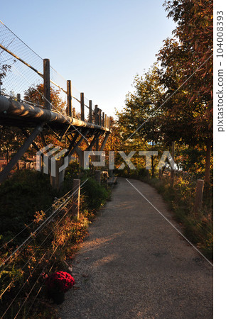 Vertical shot of a trail in an urban garden in Brooklyn, New York at golden hour 104008393