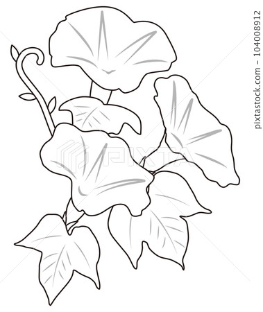 牽牛花畫 104008912