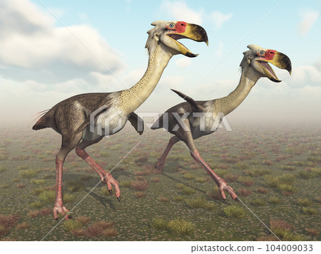 Terror bird Phorusrhacos in a landscape 104009033