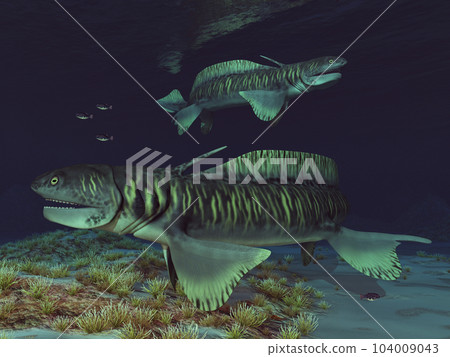 Prehistoric shark Orthacanthus in an underwater landscape Prehistoric shark Orthacanthus in an underwater landscape 104009043