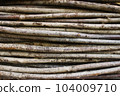 A full-frame nature concept background with a bundle of stacked twigs or sticks from trees 104009710