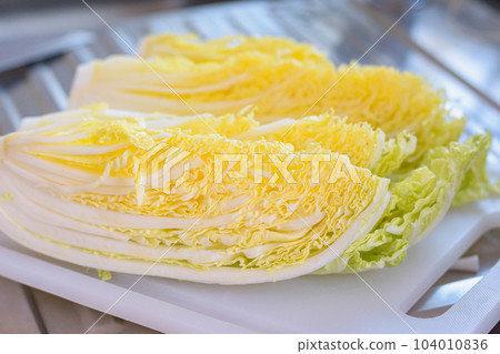 chinese cabbage chinese cabbage 104010836