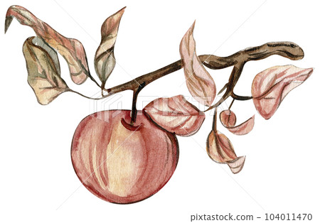 Autumn illustration of a withering apple tree. Hand drawn illustration of autumn. Perfect for scrapbooking, kids design, wedding invitation, posters, greetings cards, party decoration. 104011470