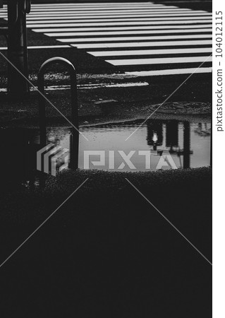 Traffic lights reflected in pedestrian crossings and puddles 104012115