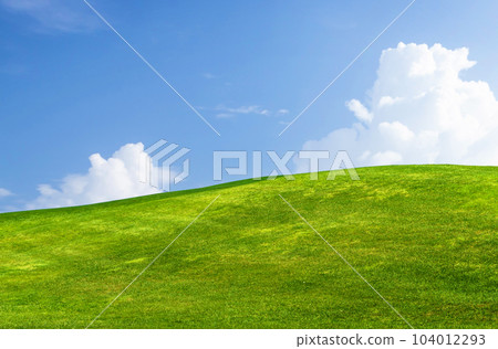 Landscape with green grass field under a blue sky 104012293