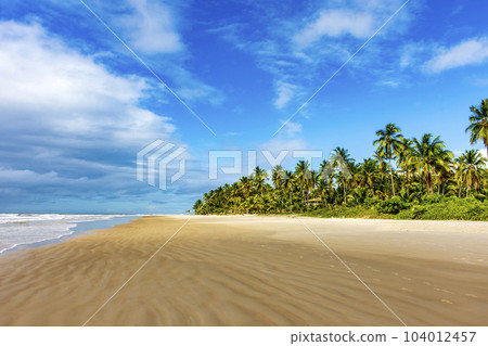 Landscape of the idyllic beach of Sargi with its coconut trees Landscape of the idyllic beach of Sargi with its coconut trees 104012457