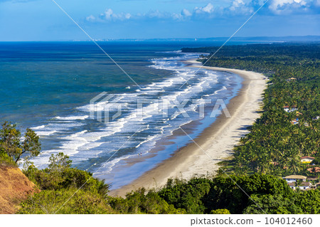 Panoramic top view of the beaches of Sargi and Pe de Serra with their coconut trees Panoramic top view of the beaches of Sargi and Pe de Serra with their coconut trees 104012460