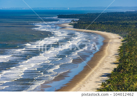 Top view of the beaches of Sargi and Pe de Serra with their coconut trees Top view of the beaches of Sargi and Pe de Serra with their coconut trees 104012462