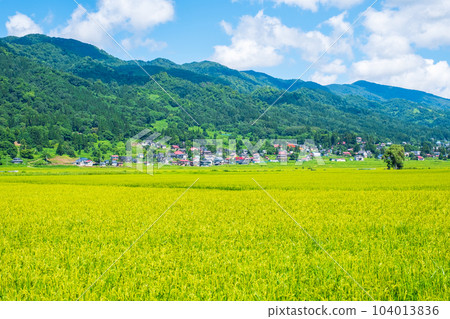 夏季鄉村景觀(8月) 夏季鄉村景觀(8月) 104013836