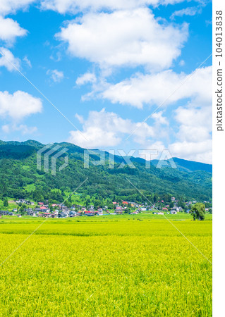 夏季鄉村景觀(8月) 夏季鄉村景觀(8月) 104013838