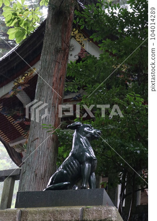 Guardian dog 104014289