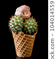 Ice cream in a waffle cup with a cactus on a black background. Generative AI 104014559
