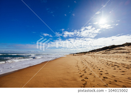 Gunnamatta Ocean Beach in Australia 104015002