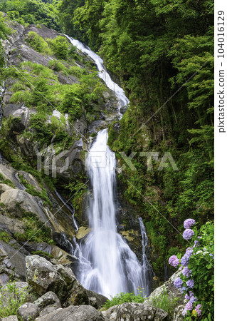 Beautiful looking waterfall in Karatsu City, Saga Prefecture Beautiful looking waterfall in Karatsu City, Saga Prefecture 104016129