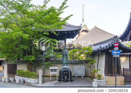 京都市容丸山地藏尊和大雲院旁邊的新鮮綠葉 104016658