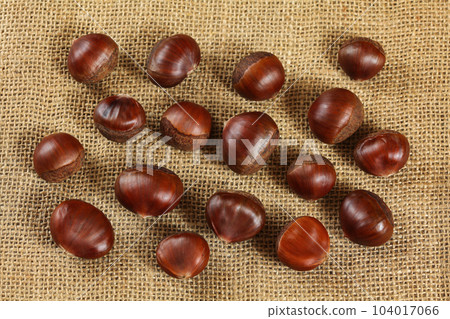 Shiny chestnuts on jute textile, photo from above 104017066