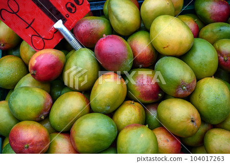 Red and green mango displayed on food market at Lewisham, London Red and green mango displayed on food market at Lewisham, London 104017263