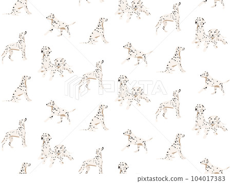 Dalmatian Seamless pattern white spotted fur, funny cartoon dalmatain dogs breed , pet background Dalmatian Seamless pattern white spotted fur, funny cartoon dalmatain dogs breed , pet background 104017383