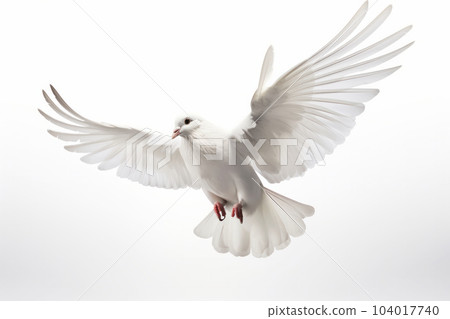 Watch in awe as this majestic white bird takes flight, its wings spread wide and talons ready for the hunt. AI Generative. 104017740