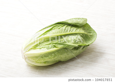 長葉萵苣、油菜生菜、綠色蔬菜、綠葉蔬菜、新鮮蔬菜、健康蔬菜 104017851