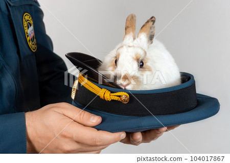 little rabbit is sitting in a military cap on light background little rabbit is sitting in a military cap on light background 104017867