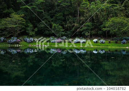 Yomogi no Sato Shinsui Park 繡球花倒影 104018782