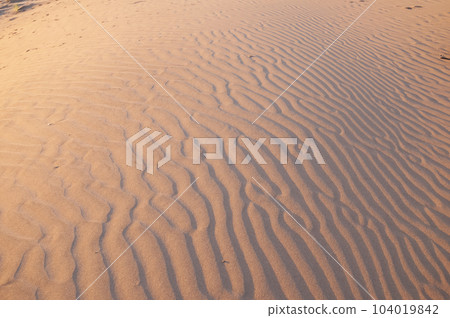 Dune landscape, La Pampa , Argentina Dune landscape, La Pampa , Argentina 104019842