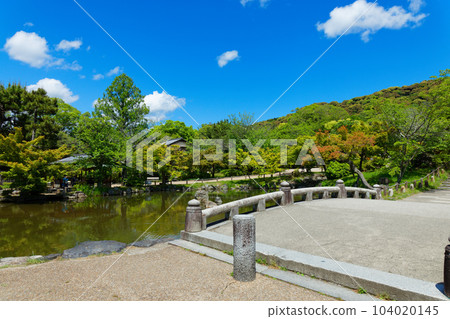 Maruyama Park's gourd pond and the surrounding landscape, young leaves and fresh greenery 104020145