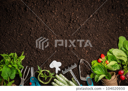 Garden tools and plants Garden tools and plants 104020930