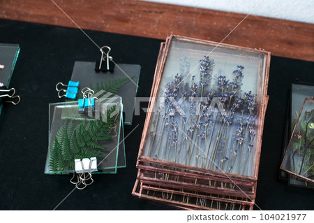 Tools and materials for making postcards and paintings from dried plants, herbarium in glass. Zero waste. Herbarium decoration for handmade interior. workshop for manufacturing 104021977