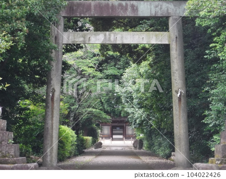 鳥居門的風景和入口處的樹木 104022426