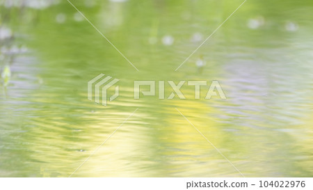 水坑中反射的夏季色彩圖像 104022976