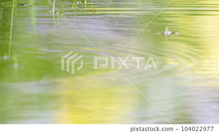 水坑中反射的夏季色彩圖像 104022977