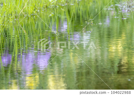 Image of summer colors reflected in a puddle Image of summer colors reflected in a puddle 104022988