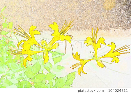 甘草叢孤挺花金黃色圖解2 104024811