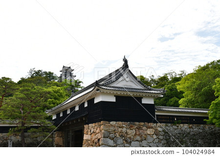 初夏的高知城 Otemon Tsumemon Tenshu Honmaru Goten Black Iron Gate 初夏的高知城 Otemon Tsumemon Tenshu Honmaru Goten Black Iron Gate 104024984